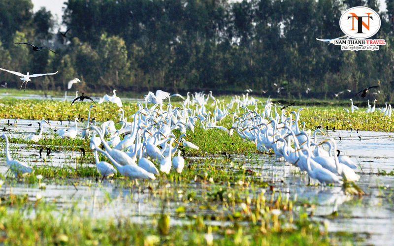 Khu bảo tồn đất ngập nước Láng Sen Khu bảo tồn đất ngập nước Láng Sen