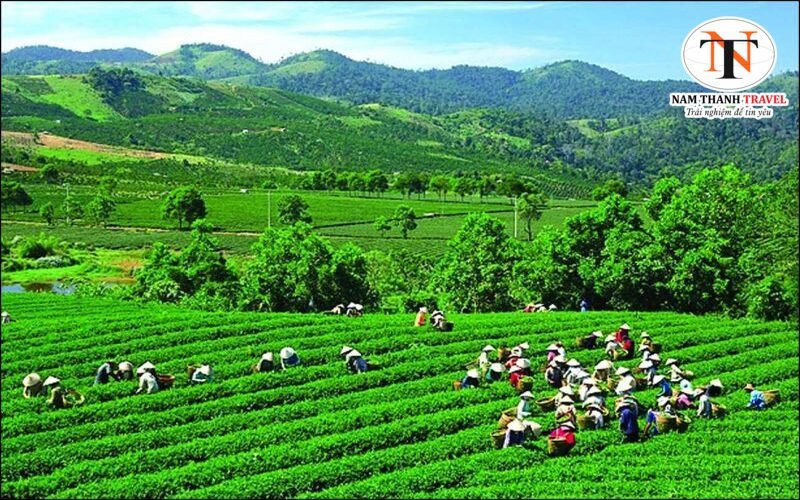 Thái Nguyên có khí hậu ôn hòa, dễ chịu