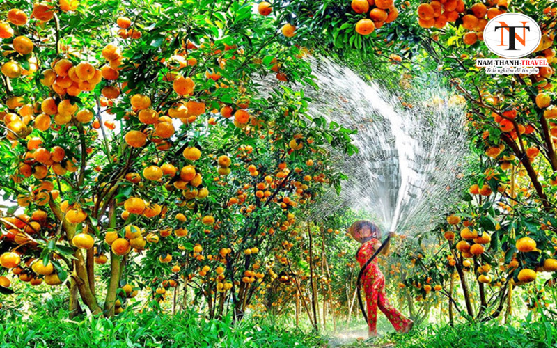 Miệt vườn Cái Bè Miệt vườn Cái Bè