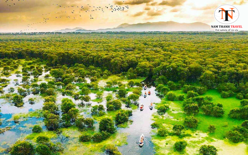 Rừng tràm Long An Rừng tràm Long An