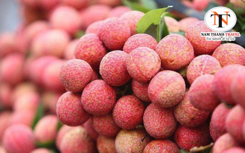 Vải thiều Lục Ngạn&nbsp;