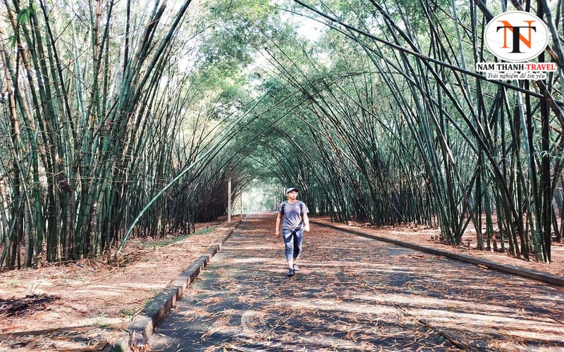 Làng Tre Phú An Làng Tre Phú An