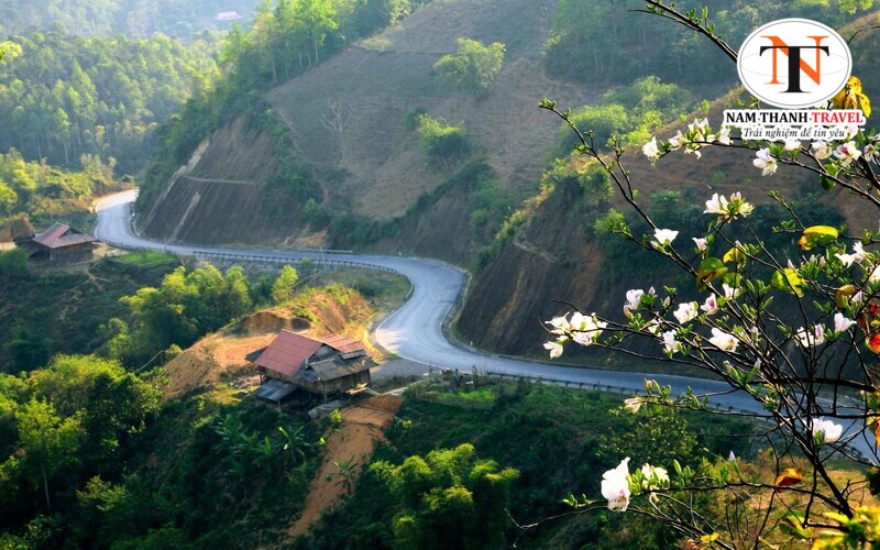 Điện Bi&ecirc;n mang đậm n&eacute;t đẹp hoang sơ, rừng n&uacute;i