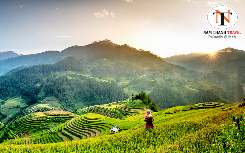 Ruộng bậc thang Mù Cang Chải Ruộng bậc thang Mù Cang Chải
