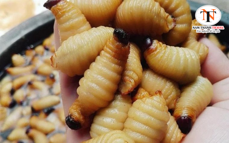 Đuông Dừa Đuông Dừa