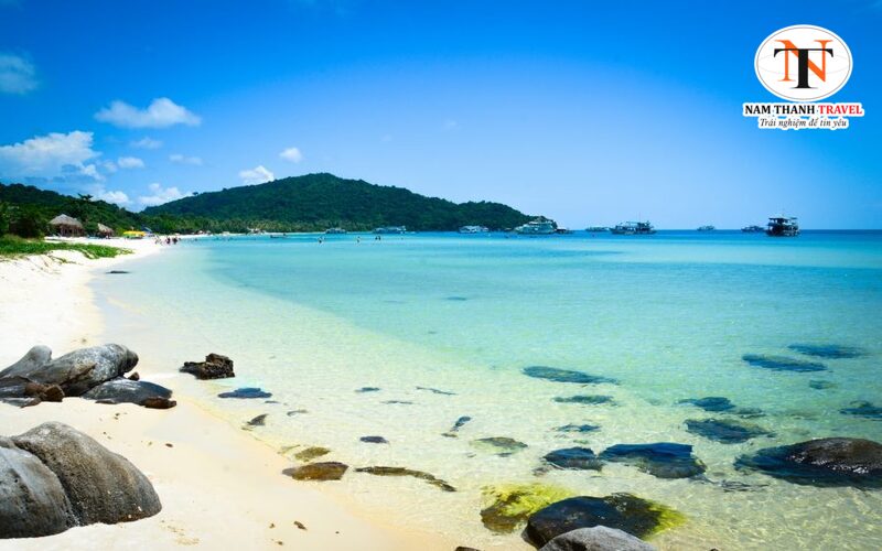 Bánh canh ghẹ chả Bánh canh ghẹ chả