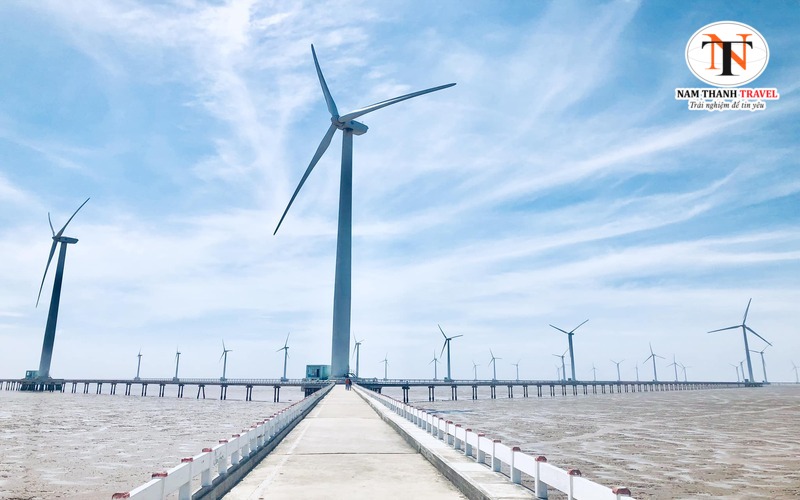 C&aacute;nh Đồng Quạt Gi&oacute; Bạc Li&ecirc;u