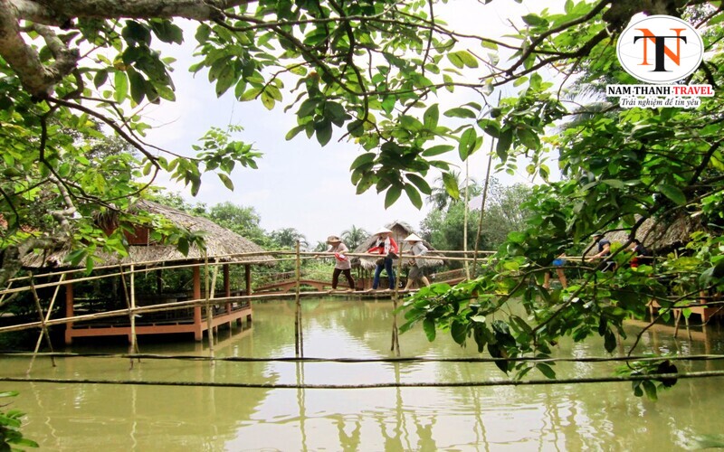 C&ugrave; lao T&acirc;n Quy