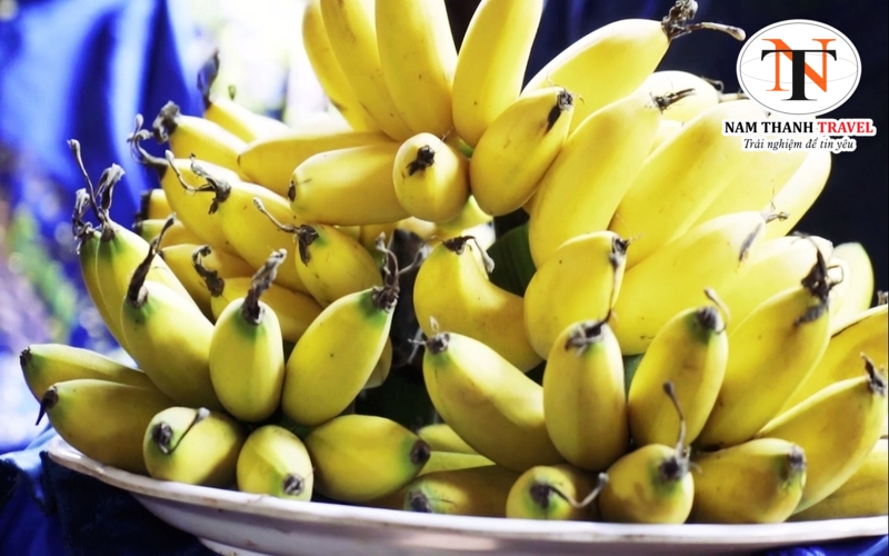 Chuối ngự Đại Hoàng Chuối ngự Đại Hoàng