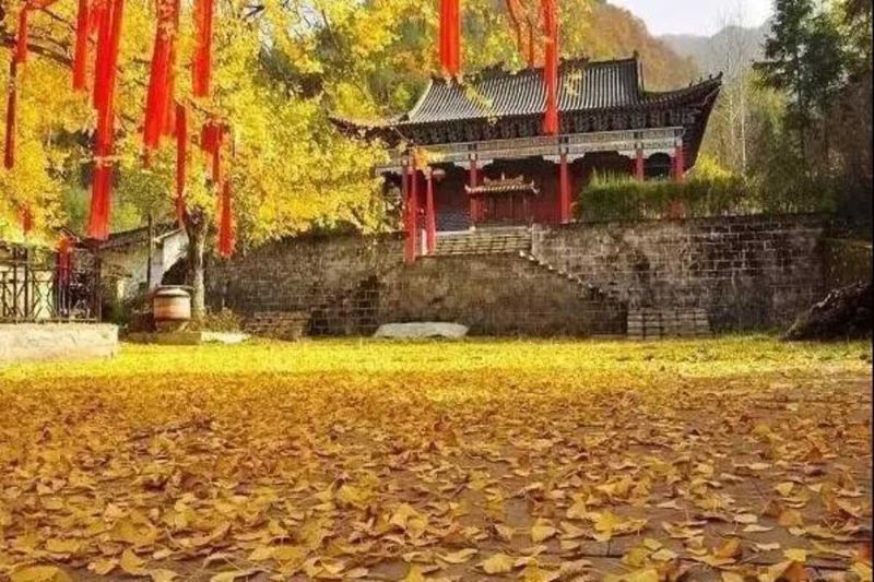 Thời điểm tốt nhất để đến T&acirc;y An