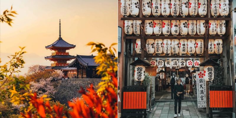 Nhật Bản - xứ sở ph&ugrave; tang xinh đẹp