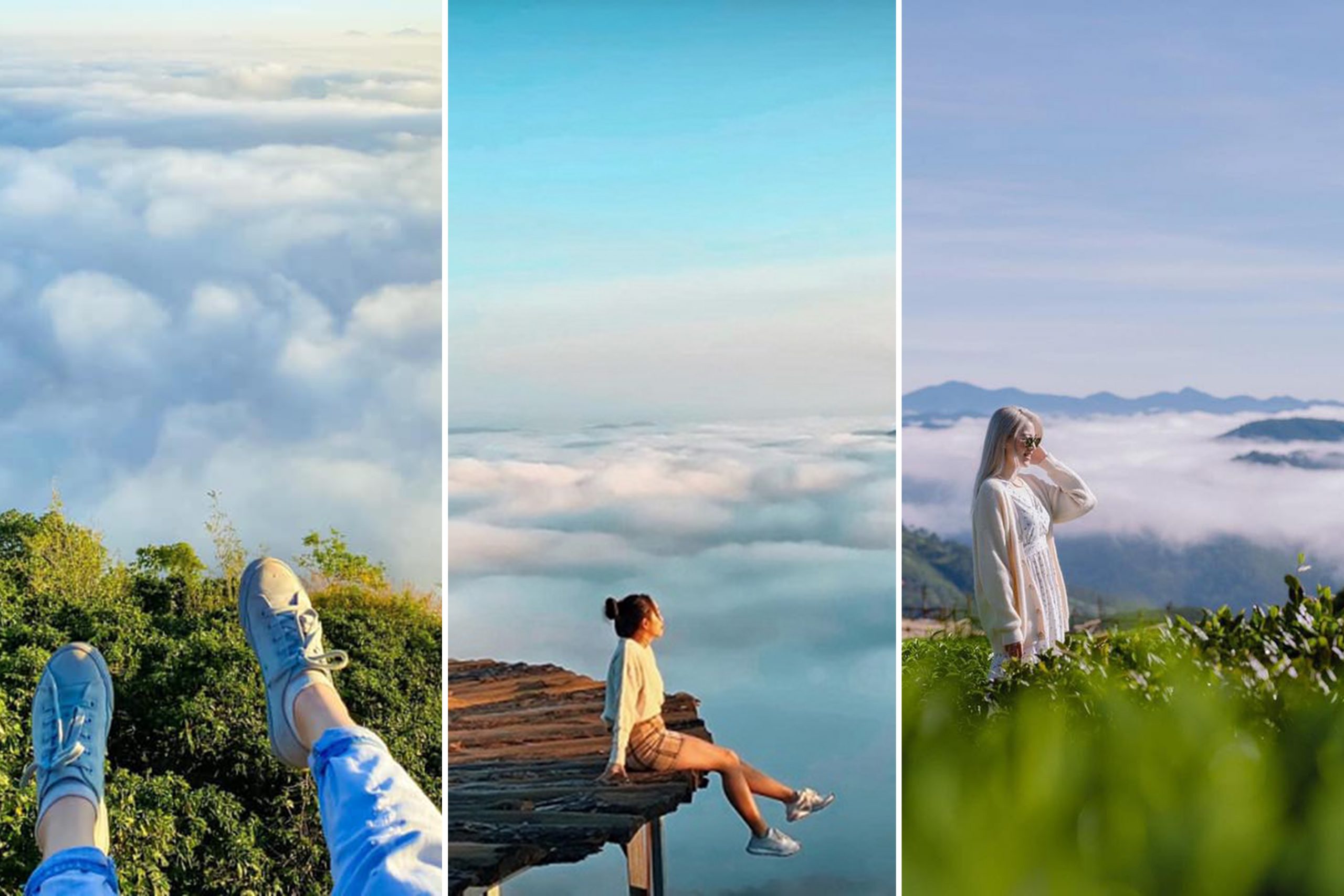 Săn m&acirc;y tại Đồi Ch&egrave; Cầu Đất