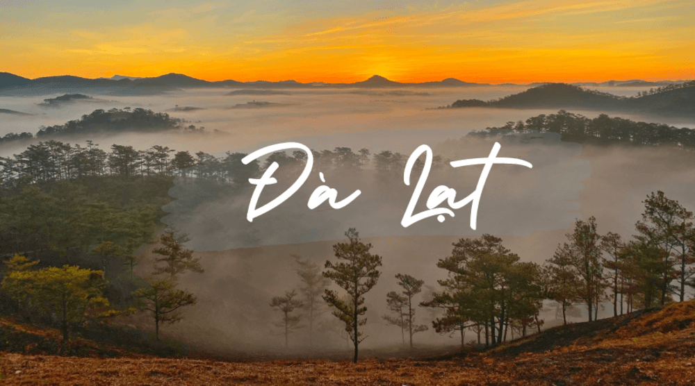 Đ&agrave; Lạt trở th&agrave;nh điểm đến trong mơ để trốn đời