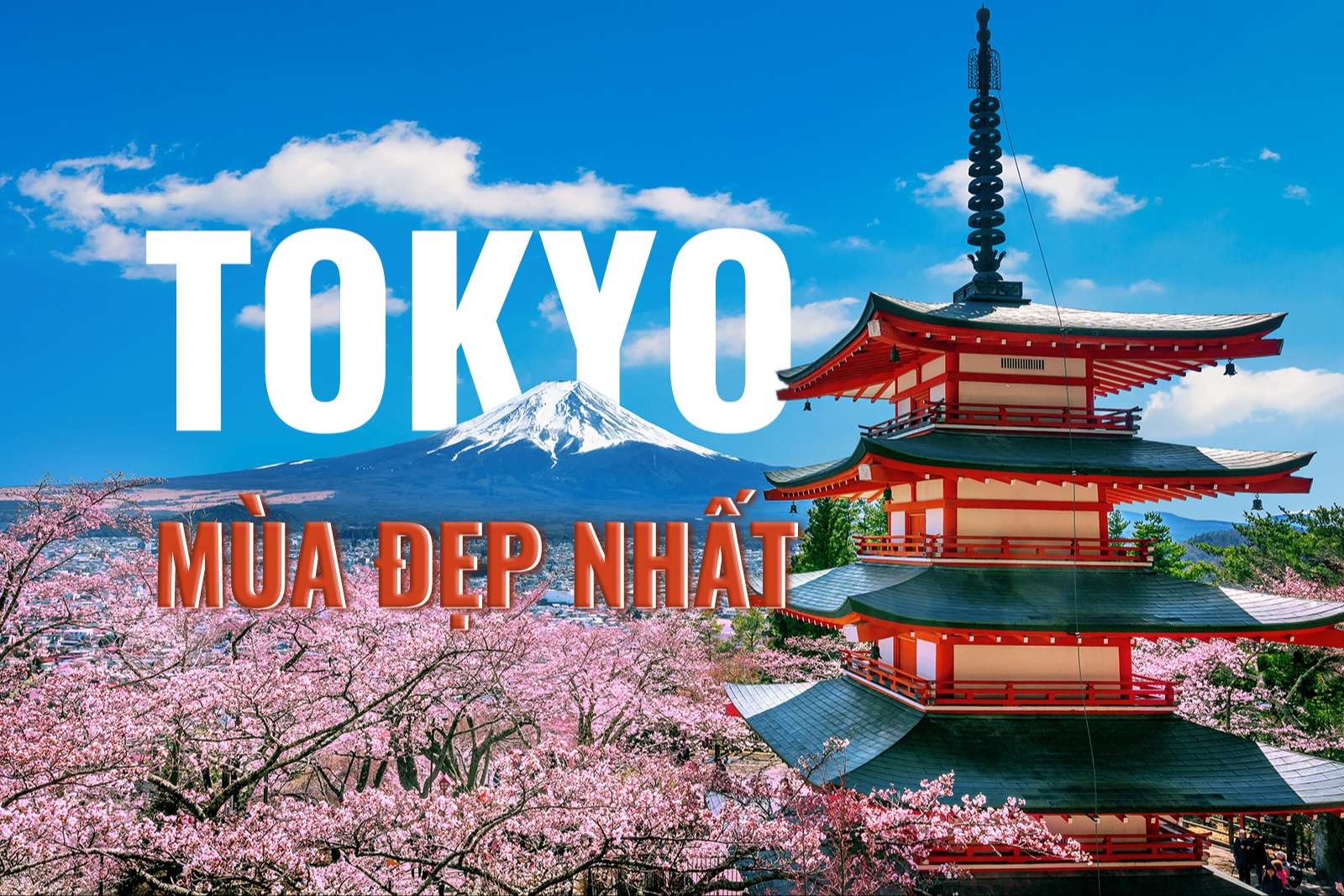 Thời điểm l&yacute; tưởng để du lịch Tokyo
