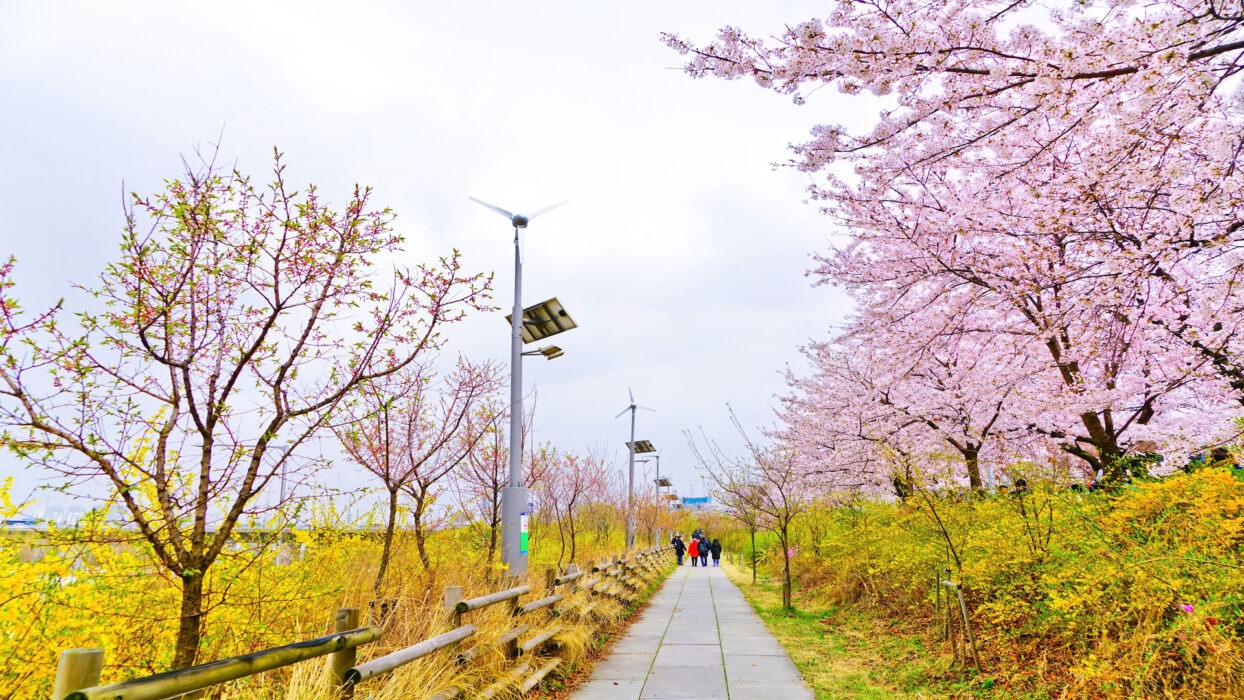 C&ocirc;ng vi&ecirc;n Hangang