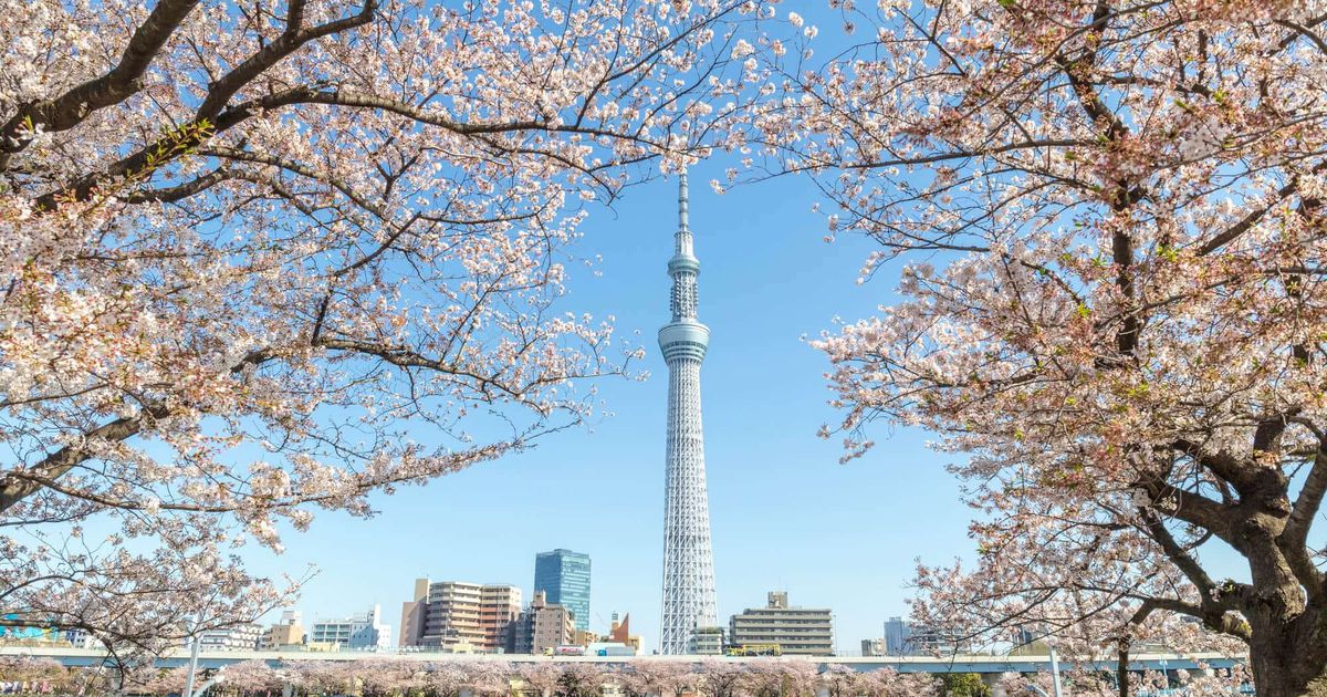 Th&aacute;p truyền h&igrave;nh Tokyo Skytree