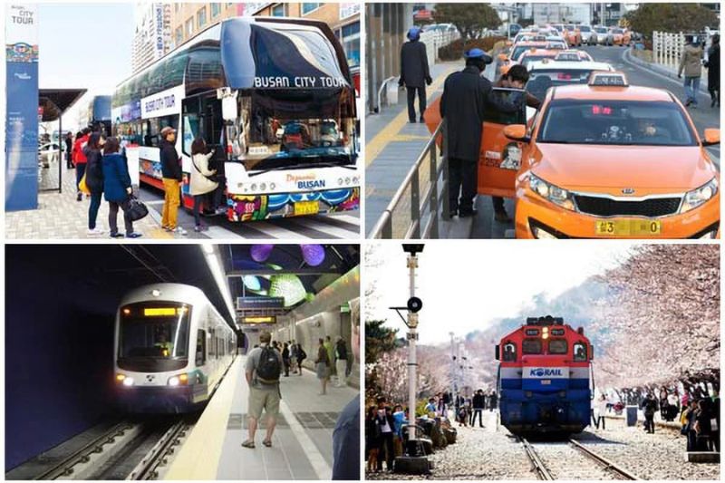 Phương tiện di chuyển tại Busan Phương tiện di chuyển tại Busan