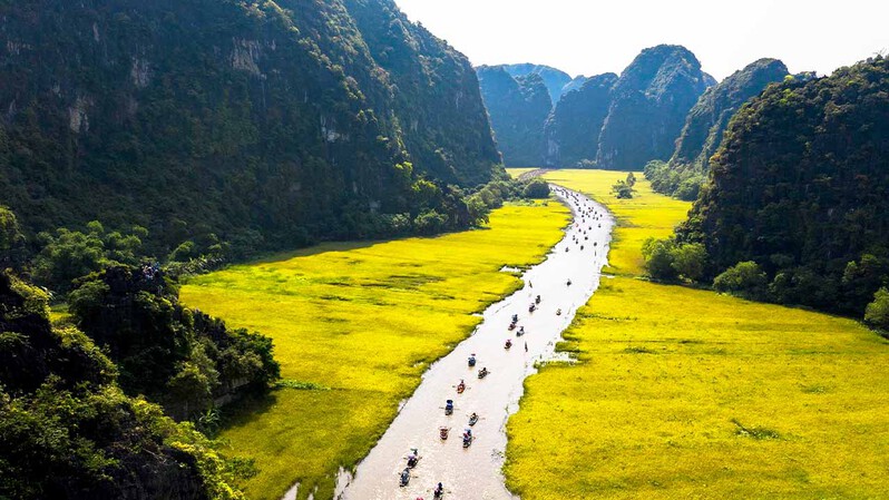 Vẻ đẹp của Tam Cốc - B&iacute;ch Động khi v&agrave;o m&ugrave;a l&uacute;a ch&iacute;n