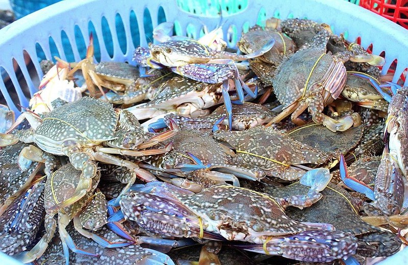 Ghẹ H&agrave;m Ninh tươi ngon