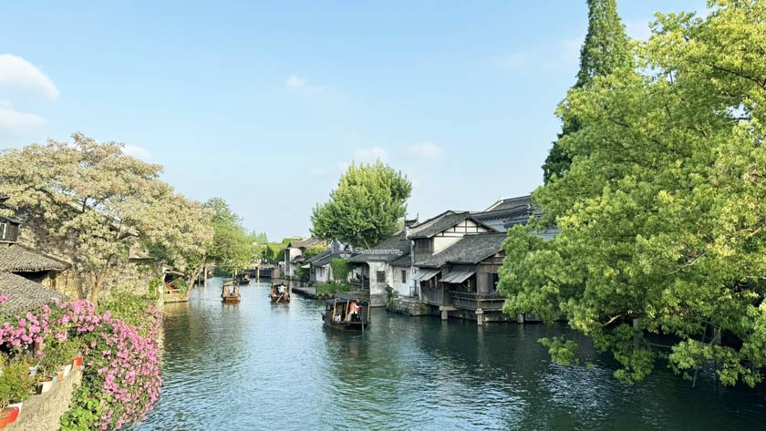 Hàng Châu vào mùa xuân được bao phủ bởi sắc màu hoa lá Hàng Châu vào mùa xuân được bao phủ bởi sắc màu hoa lá