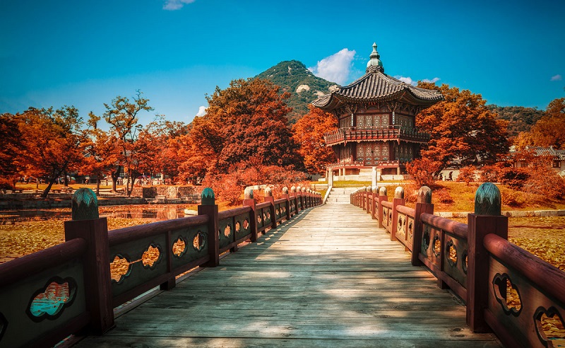 Nên đi Tour Seoul vào thời điểm nào? Nên đi Tour Seoul vào thời điểm nào?
