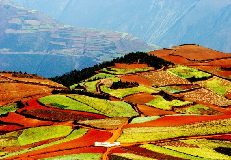 Ruộng Bậc Thang Yuanyang