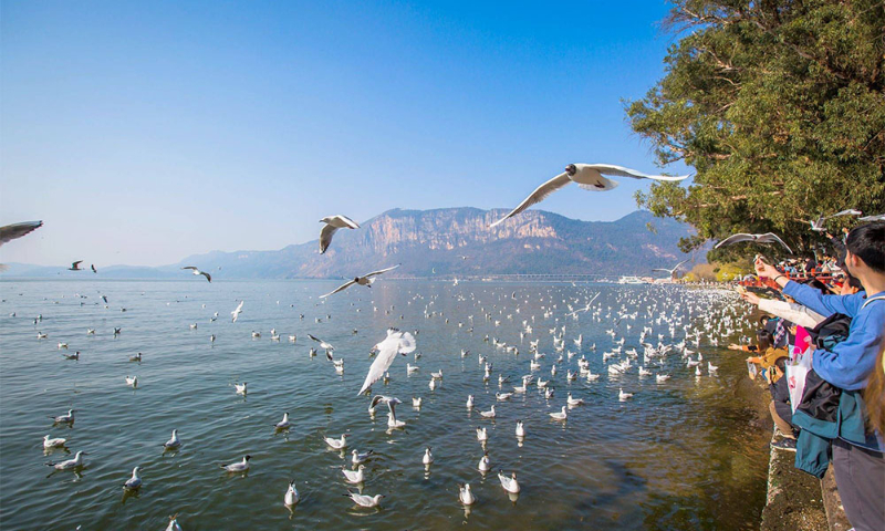 Hồ Điền Tr&igrave; l&agrave; điểm check-in nổi tiếng tại C&ocirc;n Minh