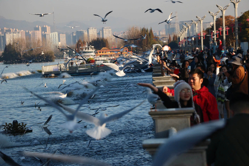 Hồ Điền Tr&igrave;