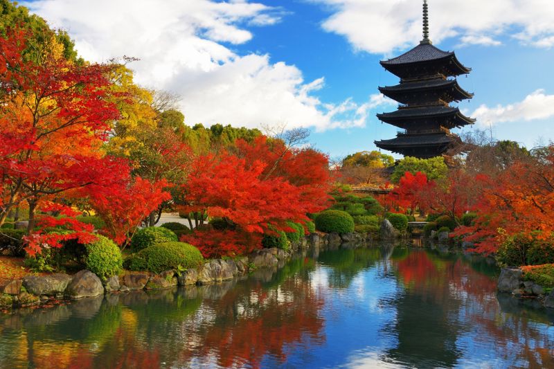 Hướng dẫn di chuyển đến Nhật Bản&nbsp;