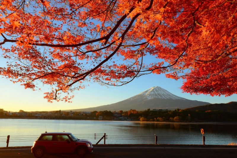 Du lịch Nhật Bản m&ugrave;a thu n&ecirc;n đi th&aacute;ng 9 - 11