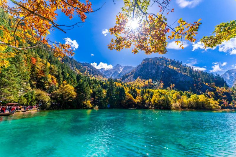 Tour Thành Đô - Công viên gấu trúc - Cửu Trại Câu Tour Thành Đô - Công viên gấu trúc - Cửu Trại Câu