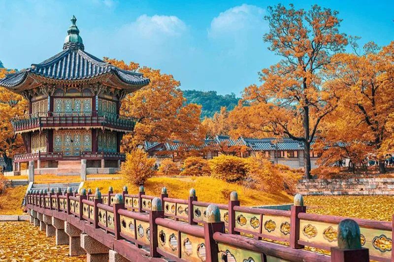 M&ugrave;a thu H&agrave;n Quốc - M&ugrave;a thu đẹp nhất ch&acirc;u &Aacute;