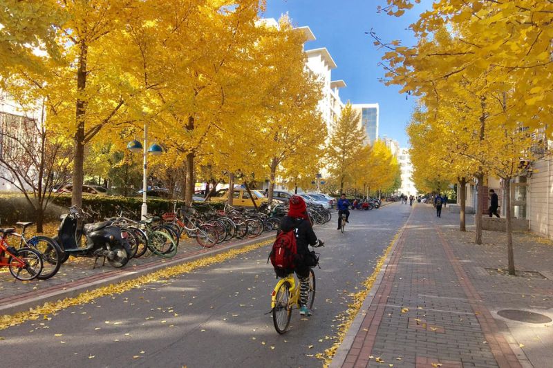 Tour Bắc Kinh - Thượng Hải - Hàng Châu - Ô Trấn Tour Bắc Kinh - Thượng Hải - Hàng Châu - Ô Trấn