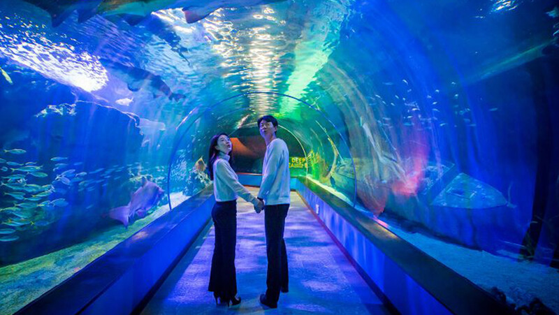 Thủy Cung Sealife Busan