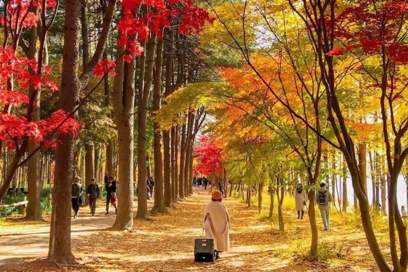 Chuẩn bị trang phục ấm khi du lịch m&ugrave;a thu H&agrave;n Quốc