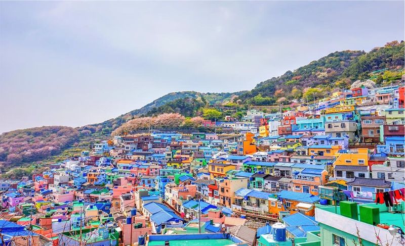 L&agrave;ng cổ Gamcheon - &ldquo;Santorini&rdquo; giữa l&ograve;ng ch&acirc;u &Aacute;